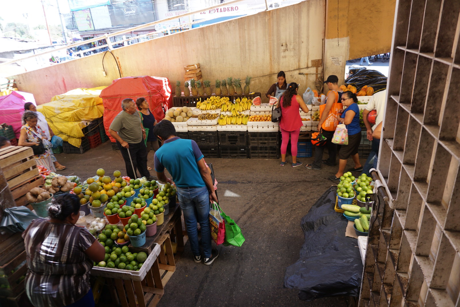 Consumir alimentos frescos reduce desechos y mejora la alimentación: bióloga