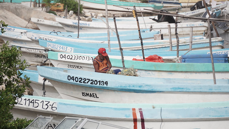 El PACMA no resuelve el problema pesquero: Canainpesca Campeche