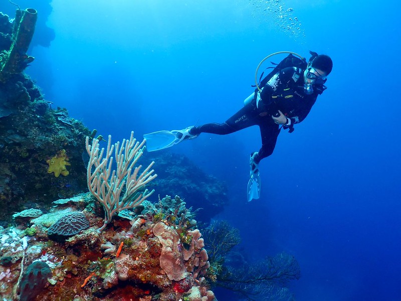 Impulsan el turismo de buceo en Quintana Roo