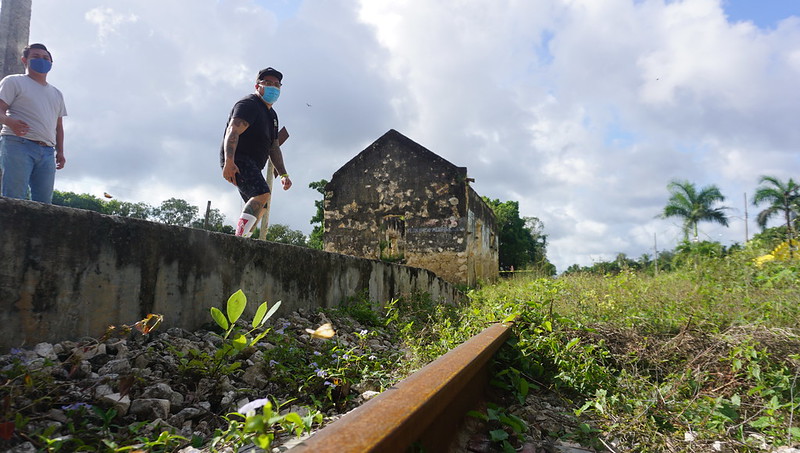 Obras del Tren Maya cuentan con autorización de impacto ambiental: Fonatur