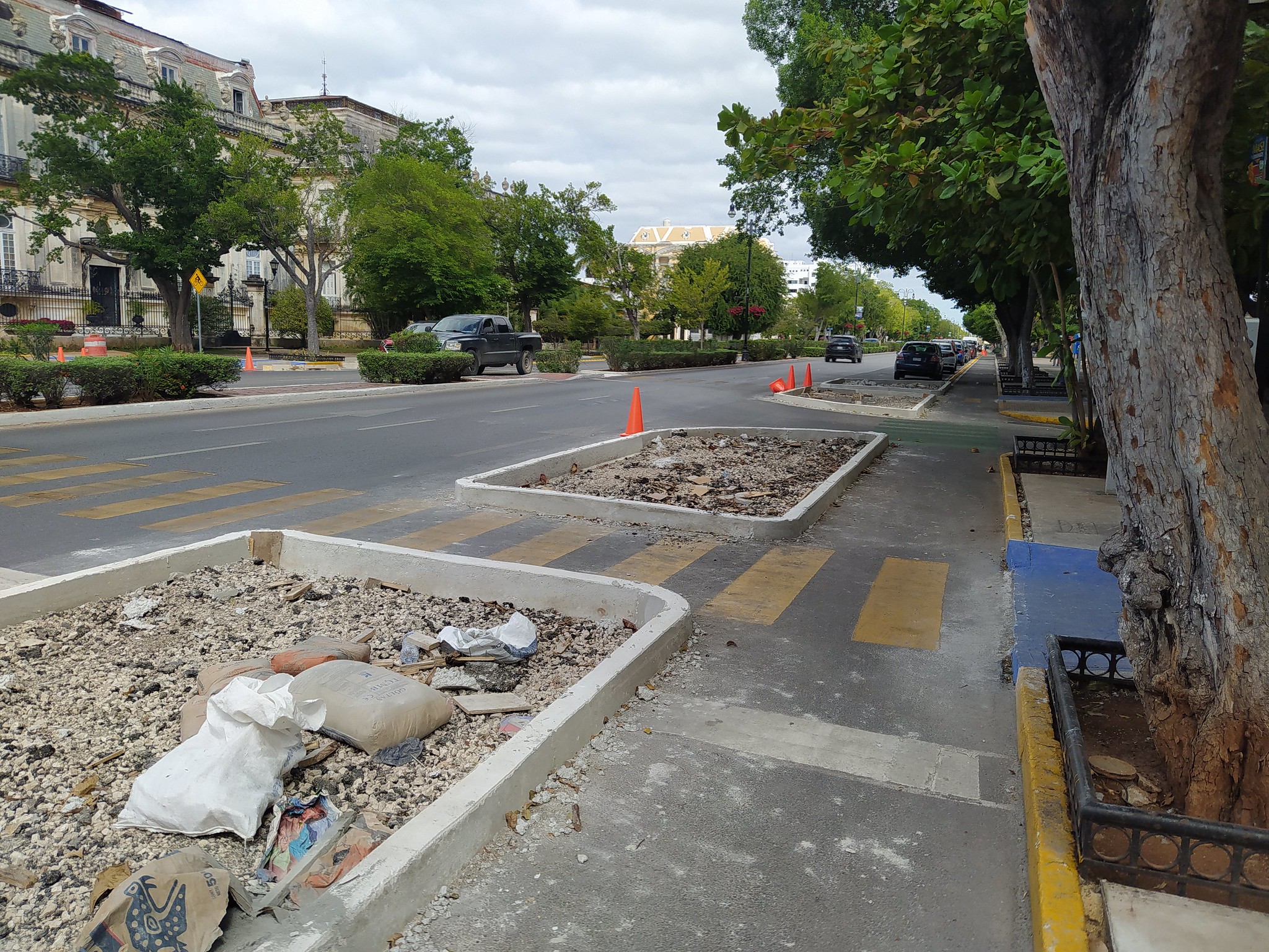 Piden que proyectos de movilidad en Yucatán se sometan a consulta ciudadana