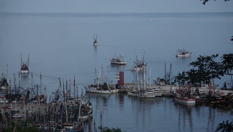 Vigilan posible presencia de aceite en la Sonda de Campeche
