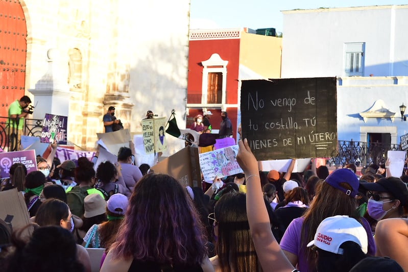 Campeche: Codhecam señala que no puede intervenir en el caso de la feminista Yahari ante FGECAM