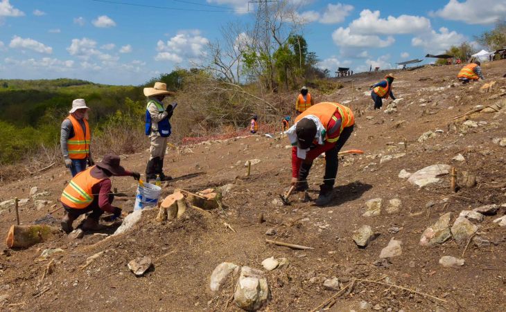 'Cerro del embrujado', nuevo sitio arqueológico revelado por el Tren Maya
