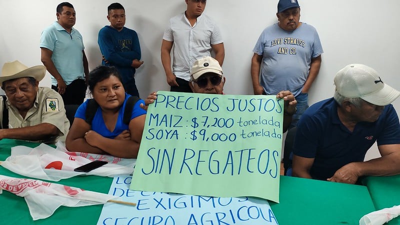 Maiceros de Campeche logran apoyo de 950 pesos por tonelada