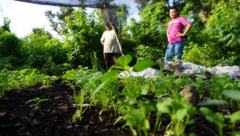 Campesinos de Campeche se reúnen para integrar demandas y propuestas: Mora Hernández 