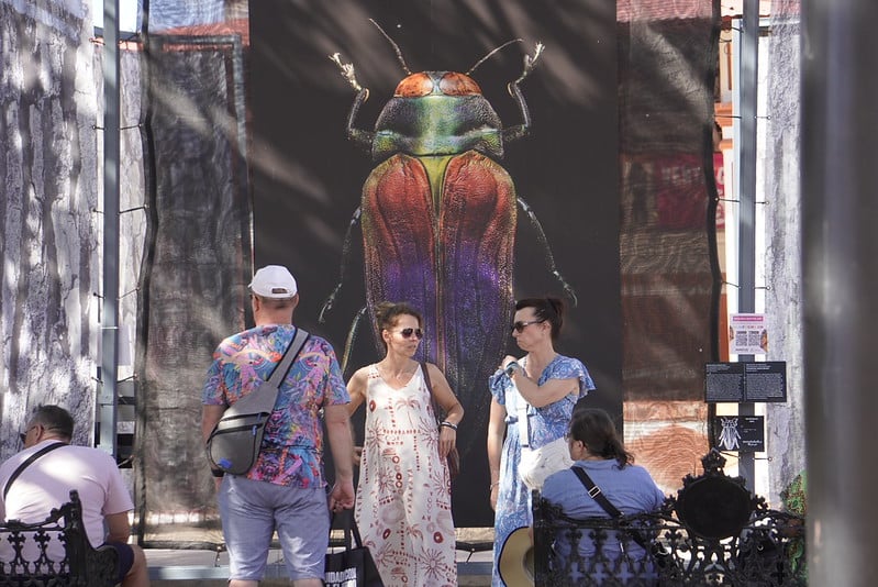 Campeche no logra aumentar el promedio de tiempo de estancia del turismo: presidente de la AMHM