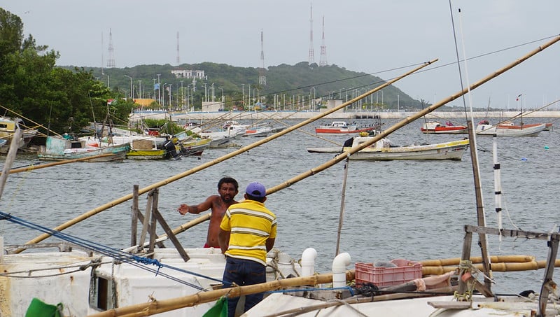 Inicia veda en 15 estados para pesca de al menos cinco especies