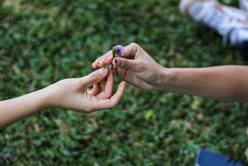 Sicoterapia y sicoeducación: esenciales para el tratamiento de la violencia en contra de las mujeres