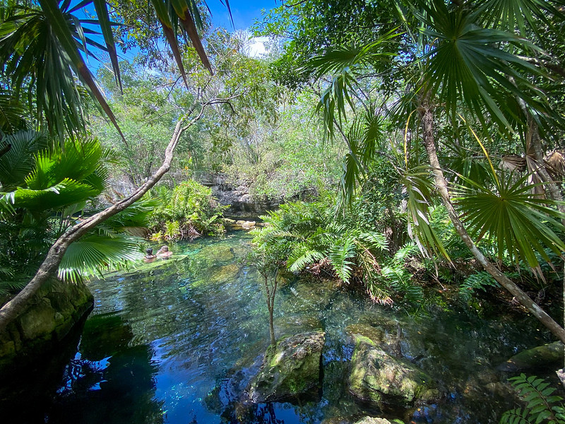 Advierte Centinelas del Agua sobre riesgos de realizar proyectos en Tulum sin un programa de ordenamiento territorial