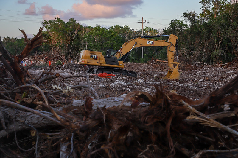 Denuncian impacto ambiental en Puerto Morelos, QRoo