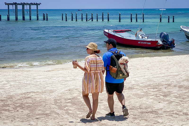 Náuticos de Cancún reportan incremento de 10 por ciento en sus actividades