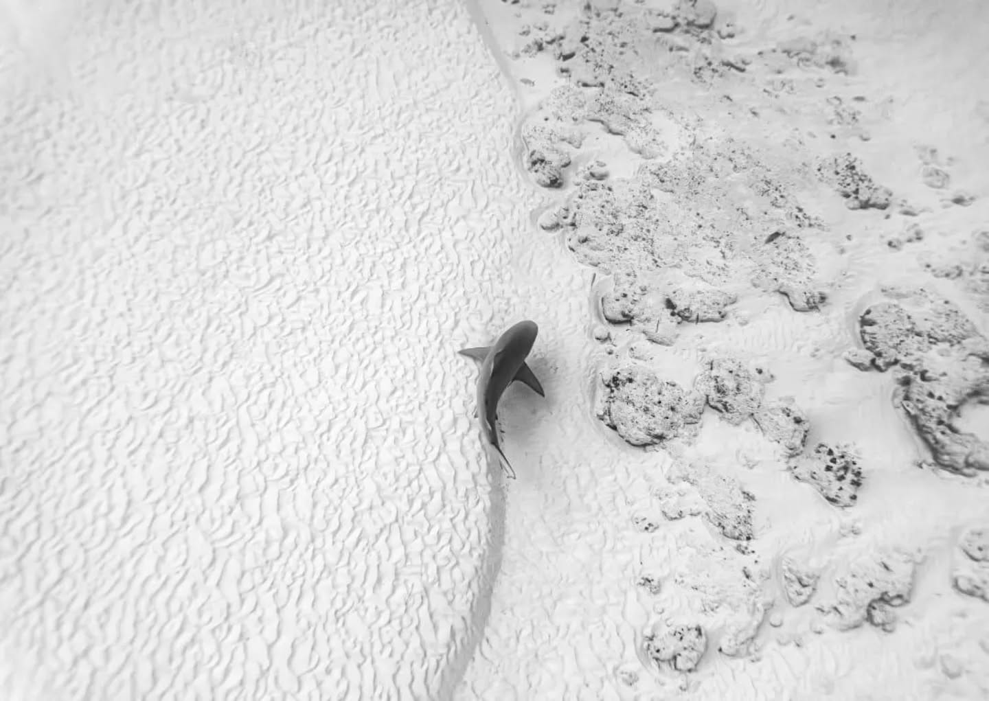 Ana Cecilia Gutiérrez, fotógrafa playense, va por la Copa Mundial de Fotografía en Islandia