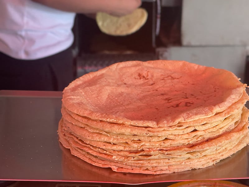 Prevén aumento de la tortilla en Carmen