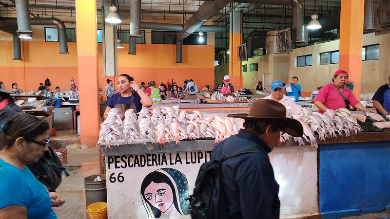 El mar no discrimina