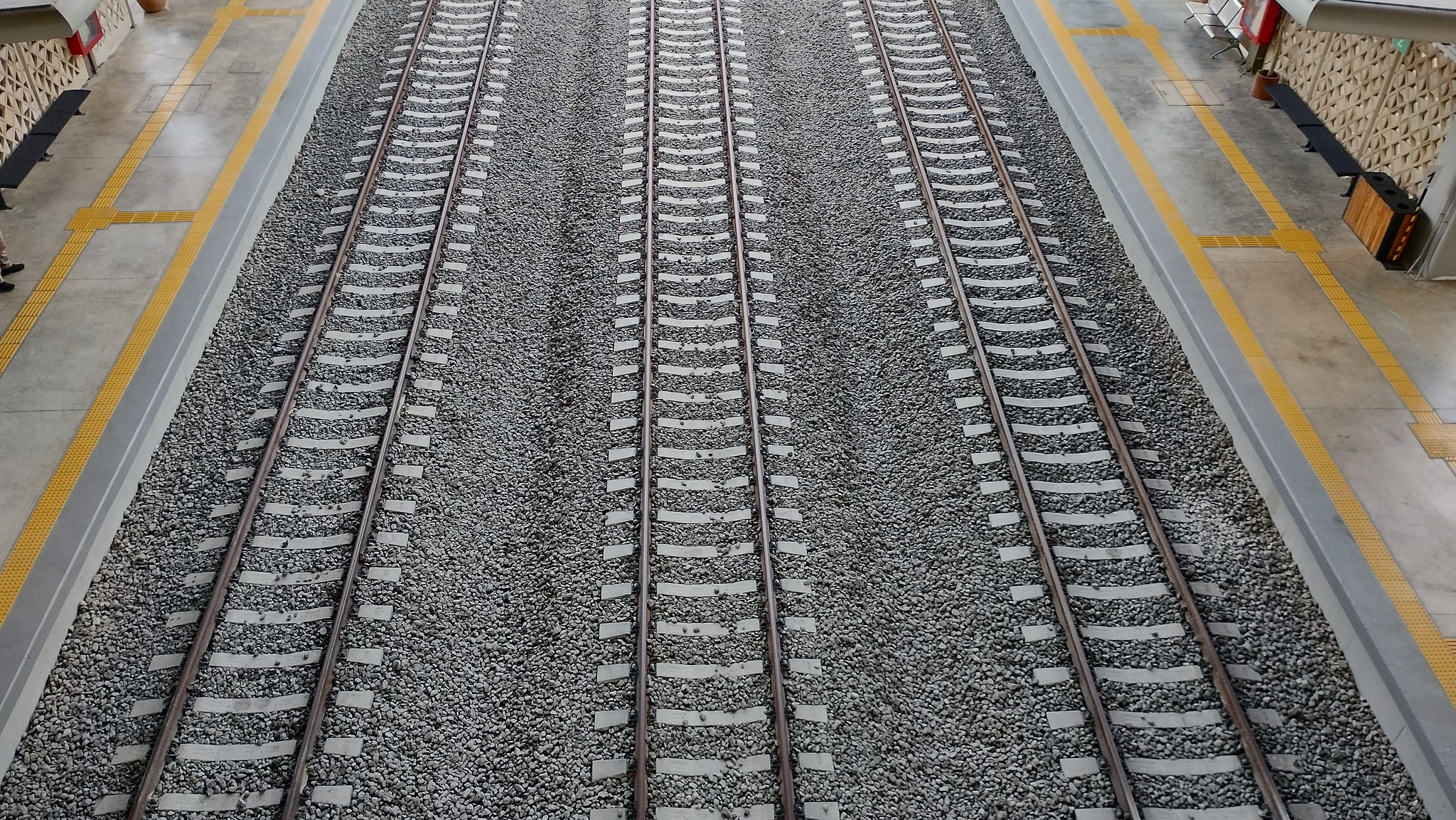 Decretan expropiación de tres ejidos más para el Tren Maya en la península de Yucatán; el más grande está en QRoo