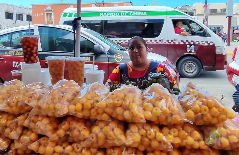 Comité Municipal de Transversalización aprueba proyecto de reconocimiento a las mujeres de Campeche
