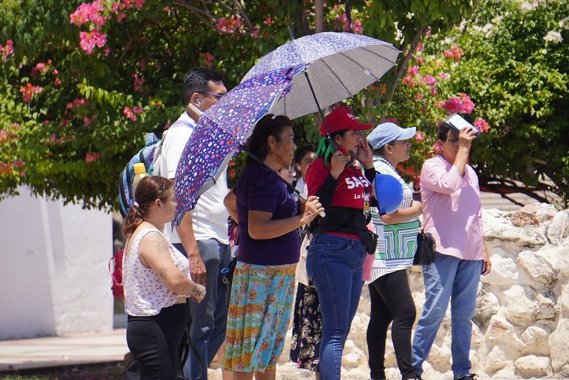 Apunte sobre la distorsión