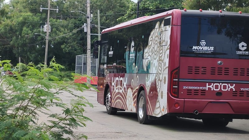Espera de hasta tres horas o más para obtener tarjetas Ko’ox en la Artec