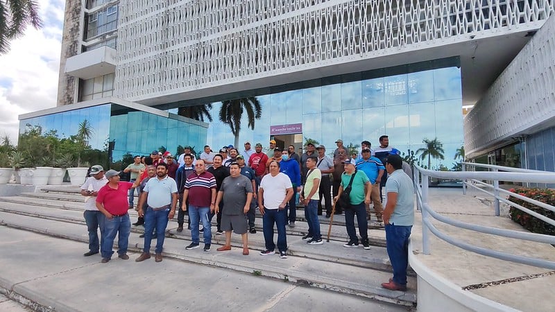 Productores de caña piden apoyo al gobierno de Campeche; precio actual les impide iniciar labores en diciembre
