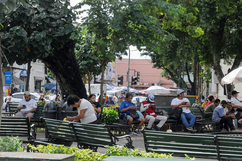 Estática de la percepción