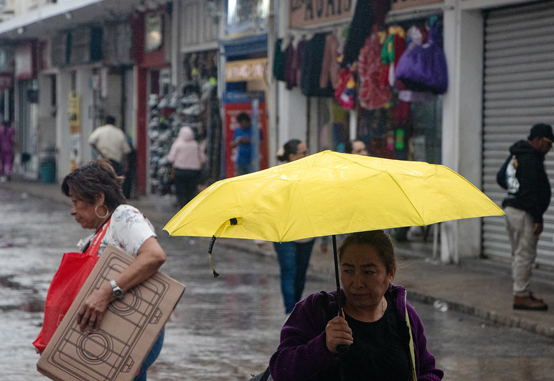Mujeres de Yucatán y QRoo tienen mayor tasa de participación económica