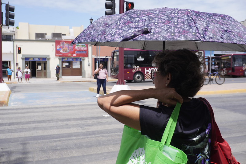 Campeche tiene los mayores porcentajes de atención por violencia sicológica y física contra las mujeres