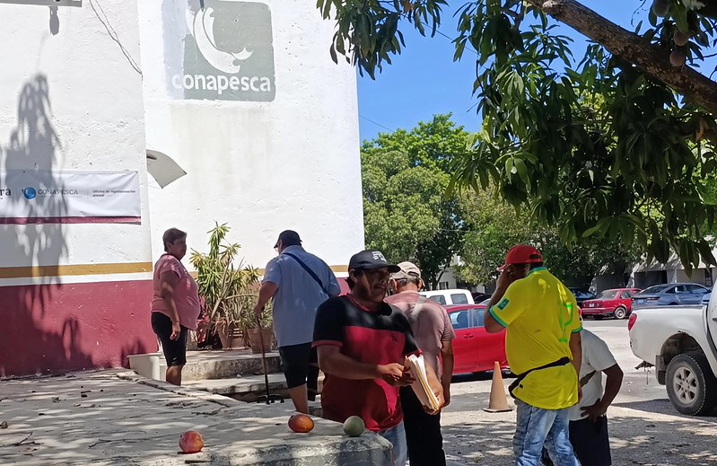 Inpesca Campeche entregará apoyo por baja captura a partir del 1 de junio