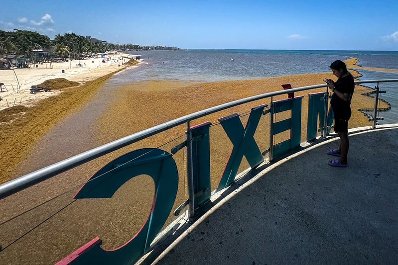 Empresas turísticas de QRoo bajan sus tarifas hasta en 20 por ciento: Amexme