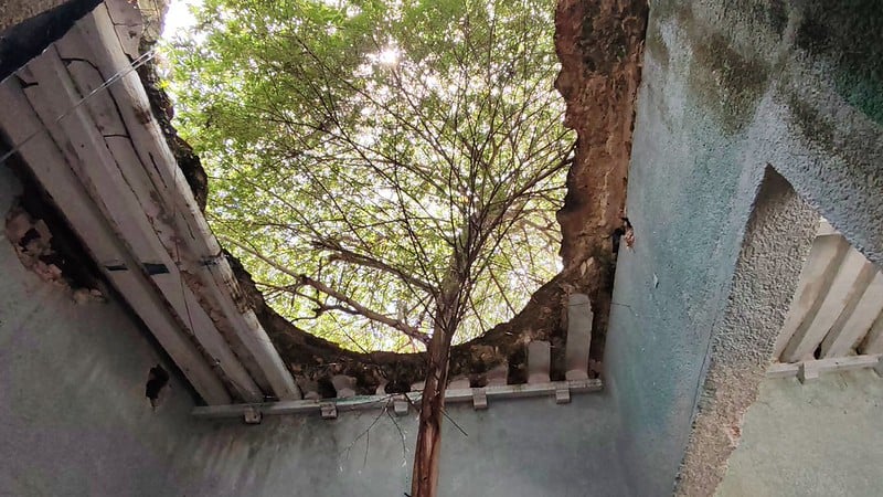 Los daños en el Centro Histórico de Campeche son consecuencia de la falta de atención: Nelson Gallardo