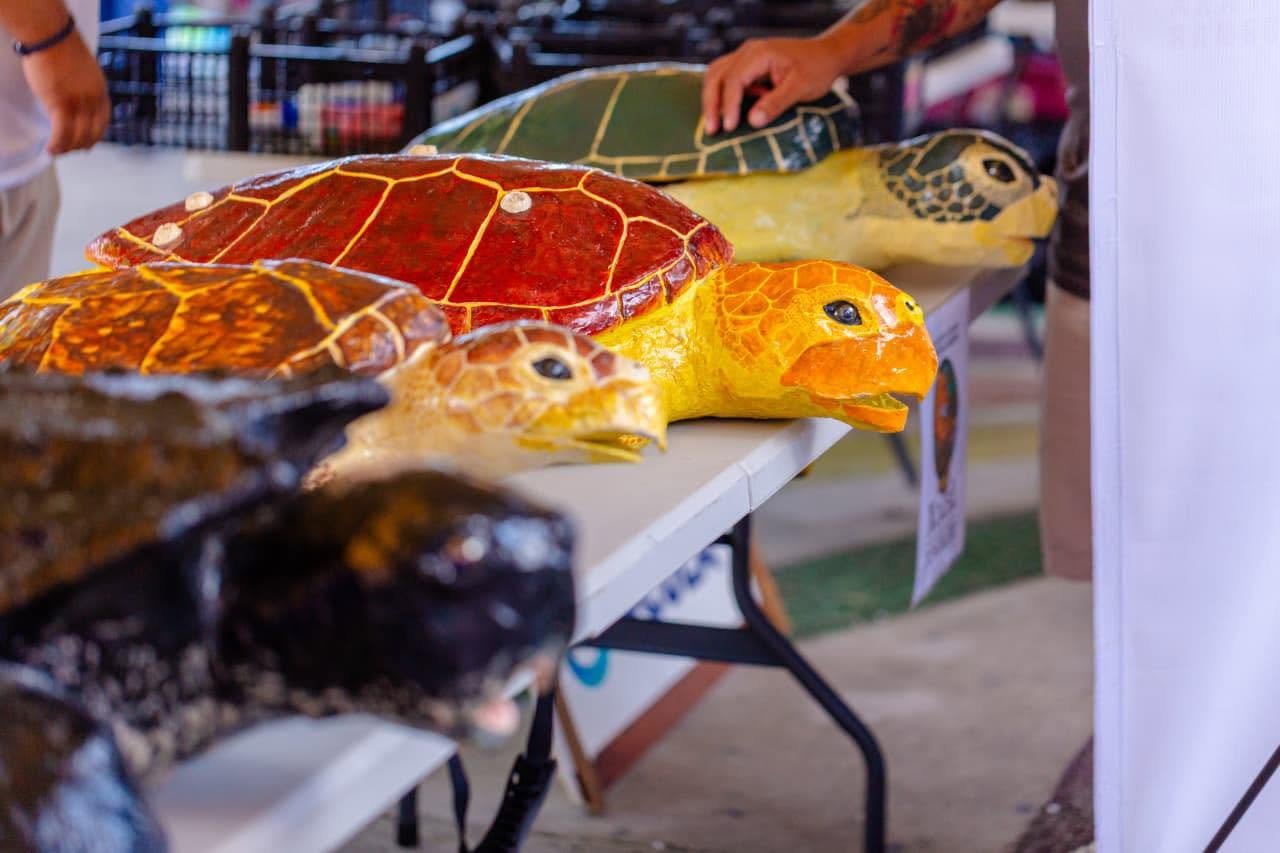 Tulum, Akumal y Xcacel celebrarán el 24 Festival de la Tortuga Marina