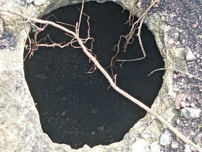 Encuentran chultunes en Escárcega, a 2 metros de donde pasará el Tren Maya