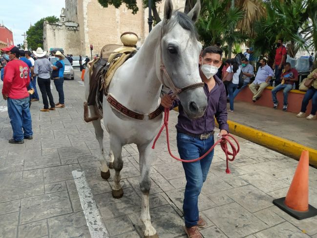 Solicitan reactivación de corridas de toros en Yucatán