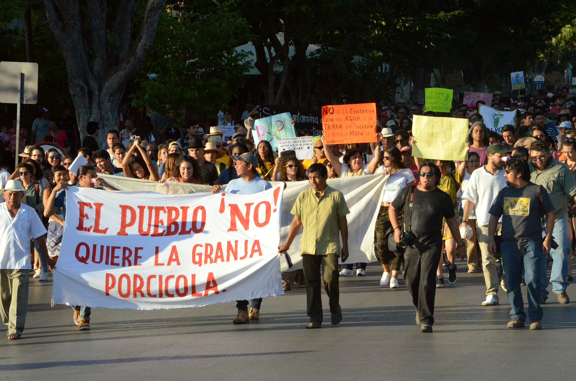 Para Homún, Corazón de León por su defensa del agua: Feudg