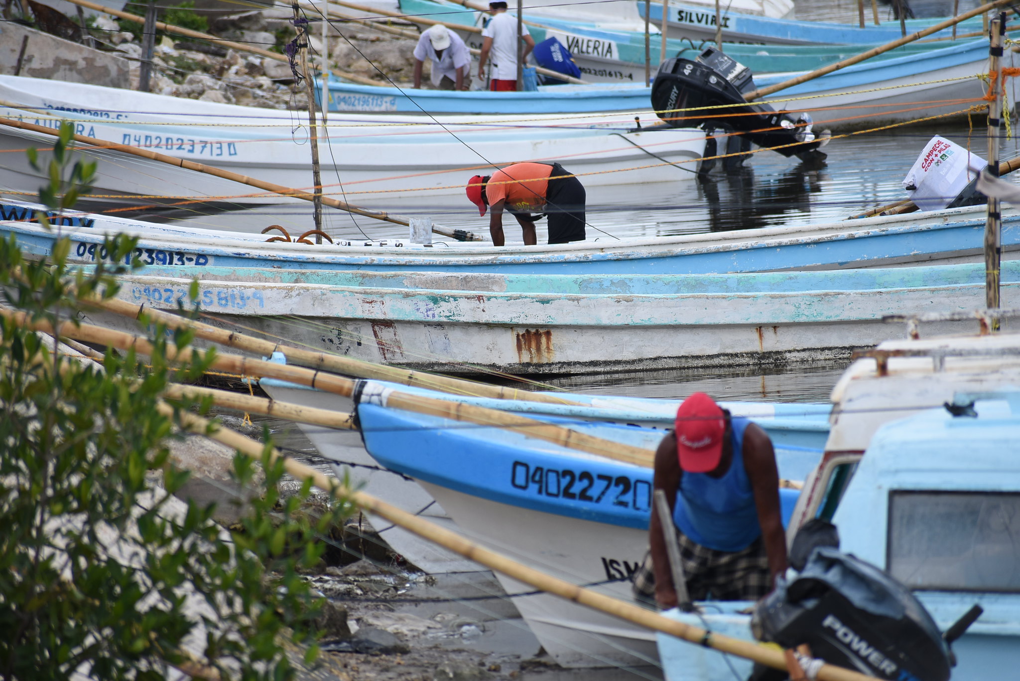 Mueren en promedio 35 pescadores al año en Yucatán