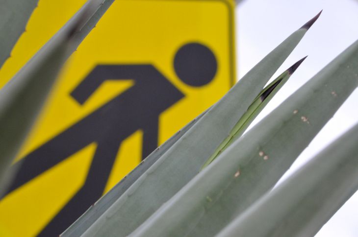 Autoridades buscan abordar la problemática del suicidio en Yucatán