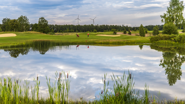 Country Lakes, lotes de inversión con certeza jurídica y respeto a la naturaleza