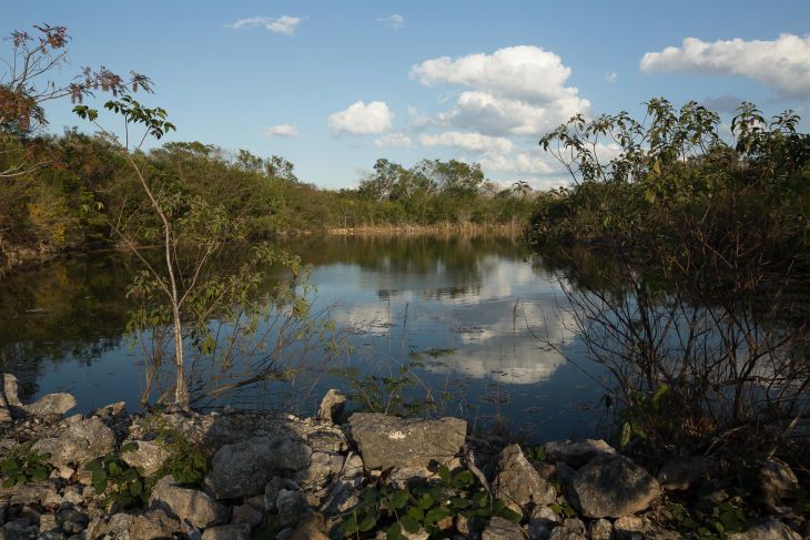 Obras del Tren Maya develan patrimonio subacuático de la península de Yucatán