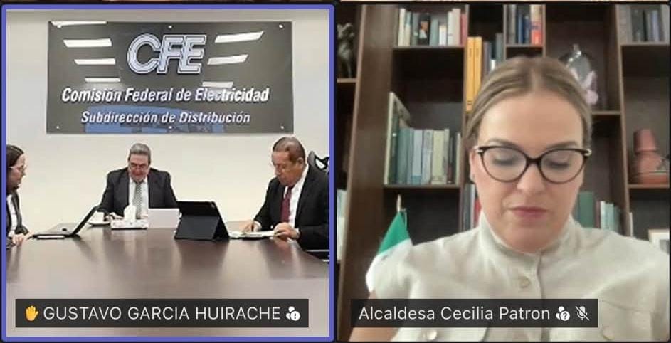 Expone Cecilia Patrón principales problemáticas ante titular nacional de la CFE 