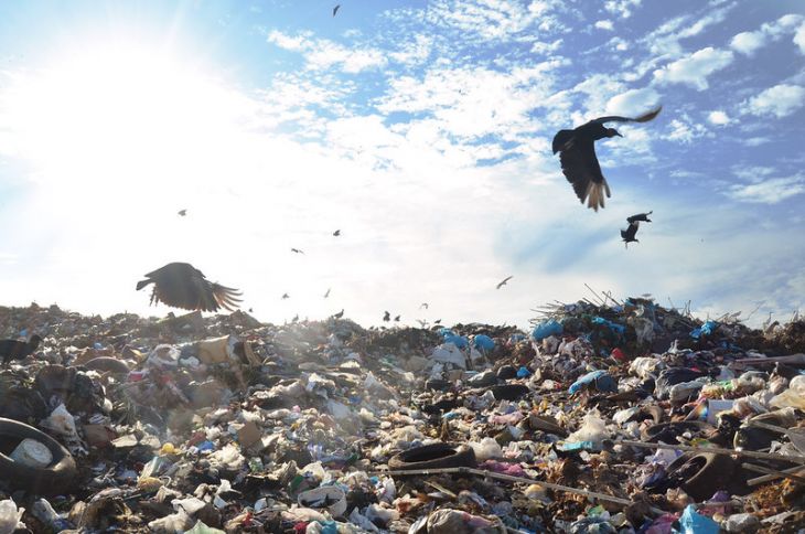 Rellenos sanitarios, obsoletos; crear centros de compostaje es la solución: especialistas
