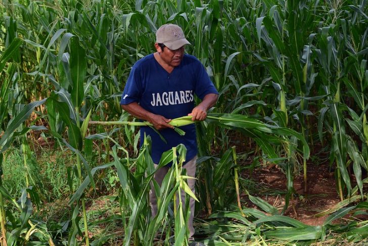 Día de la Tierra: Agricultores resisten al capitalismo y el cambio climático