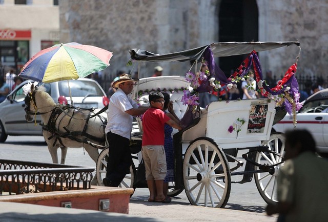 Pagos de 11 mil 500 pesos mensuales para adquirir calesas eléctricas en Mérida