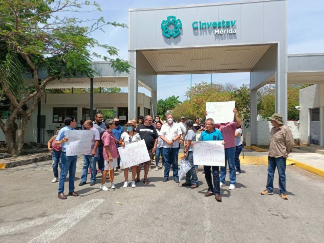 Investigadores de Yucatán aseguran que nueva ley de Ciencia limitará las líneas de estudio
