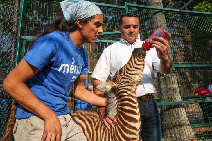 El Centenario celebra su aniversario 113: Conoce las actividades