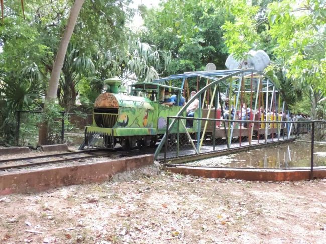 Se descarrila el trenecito del Zoológico Centenario de Mérida; hay tres personas lesionadas