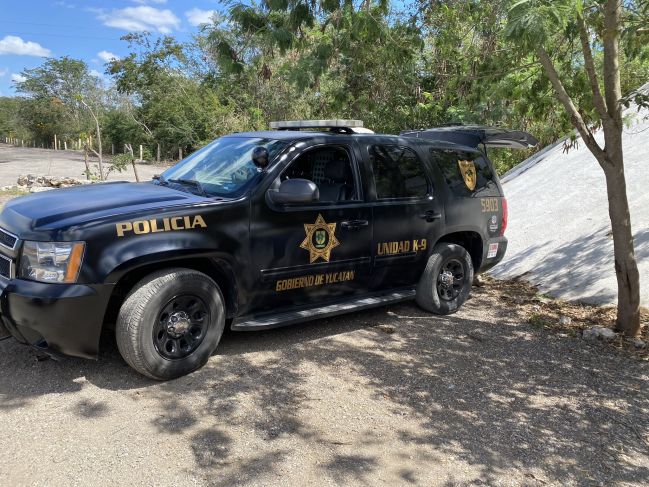 No hay relación con conductora que atropelló a bebé en San José Tecoh: SSP