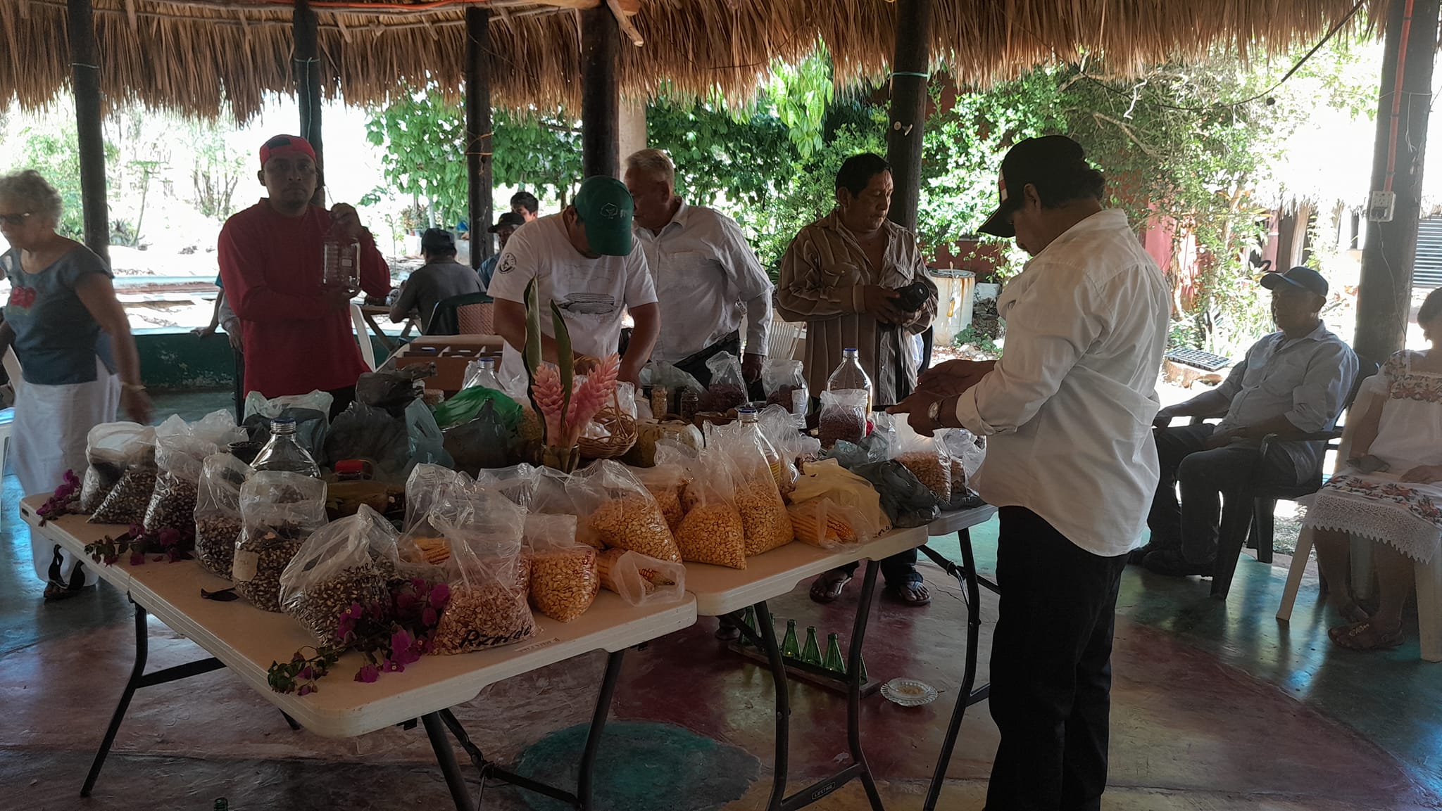 Fiesta de las Semillas, un acto de resistencia para proteger la milpa maya