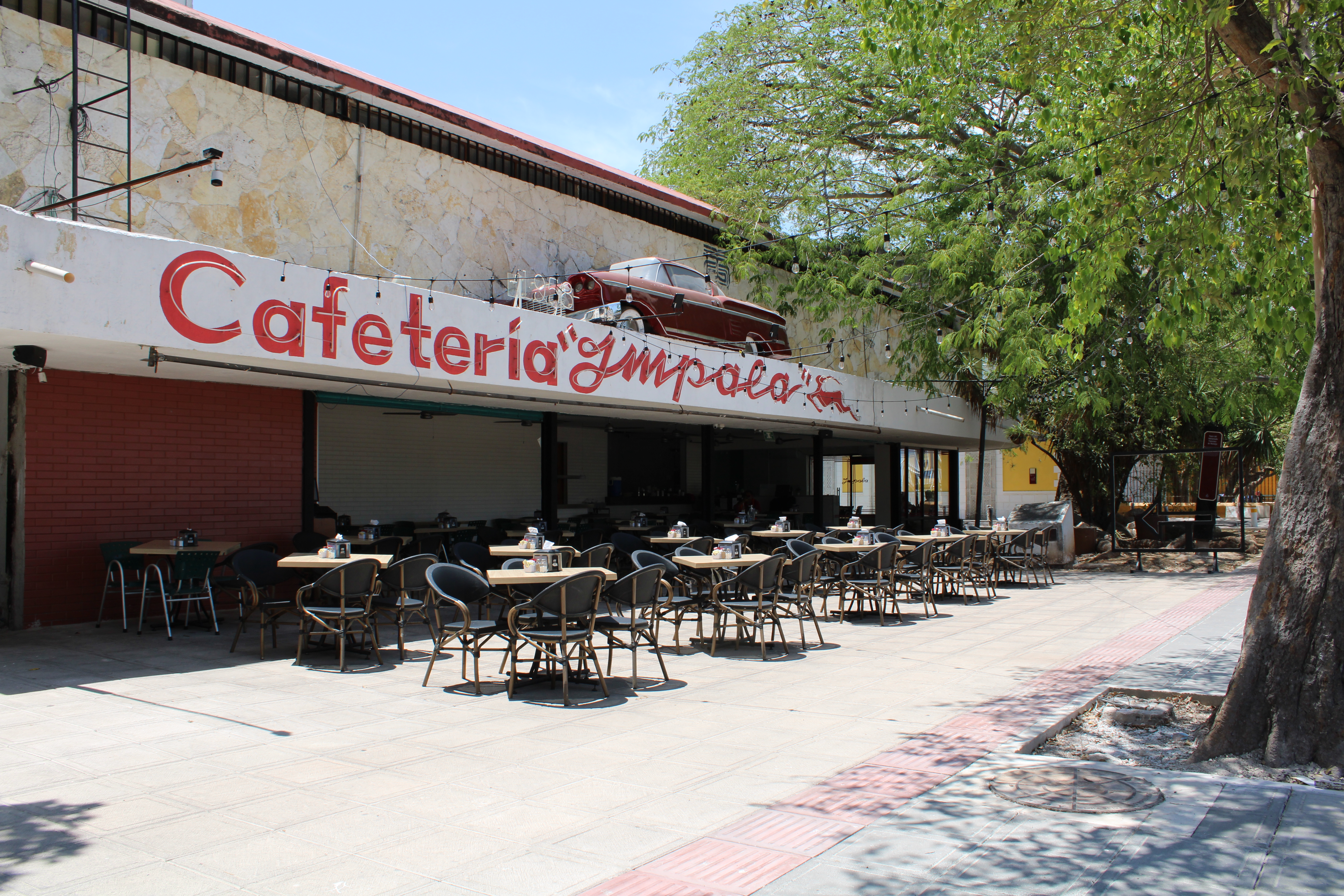 ''Ni quién lo aguante'': calles de Mérida permanecen solitarias ante calor extremo