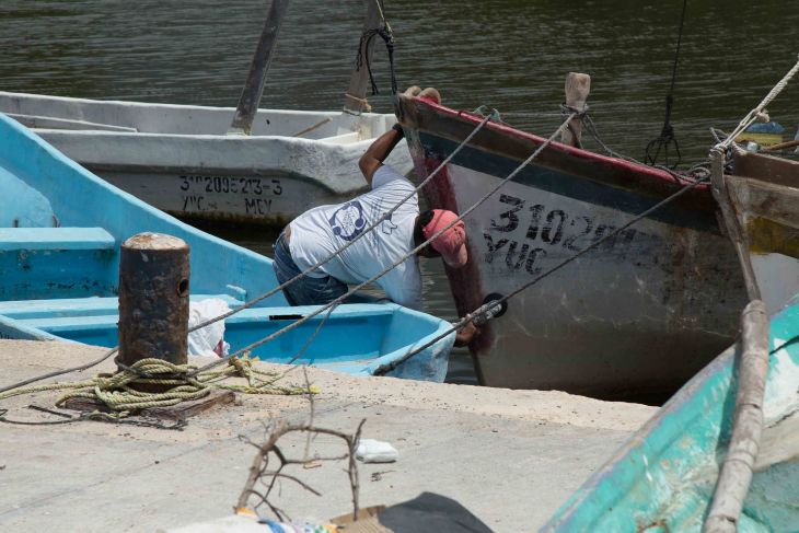 Marea roja en Yucatán no representa riesgo para la salud ni la pesca