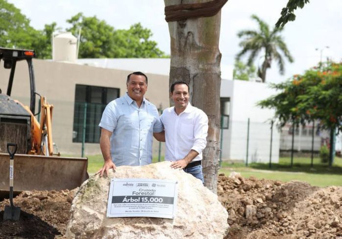 Gobierno de Yucatán y ayuntamiento de Mérida han sembrado 241 mil árboles